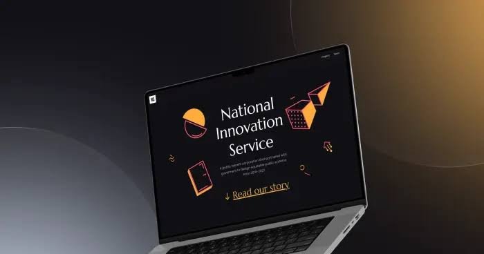 Government and Institutional Website Design Services